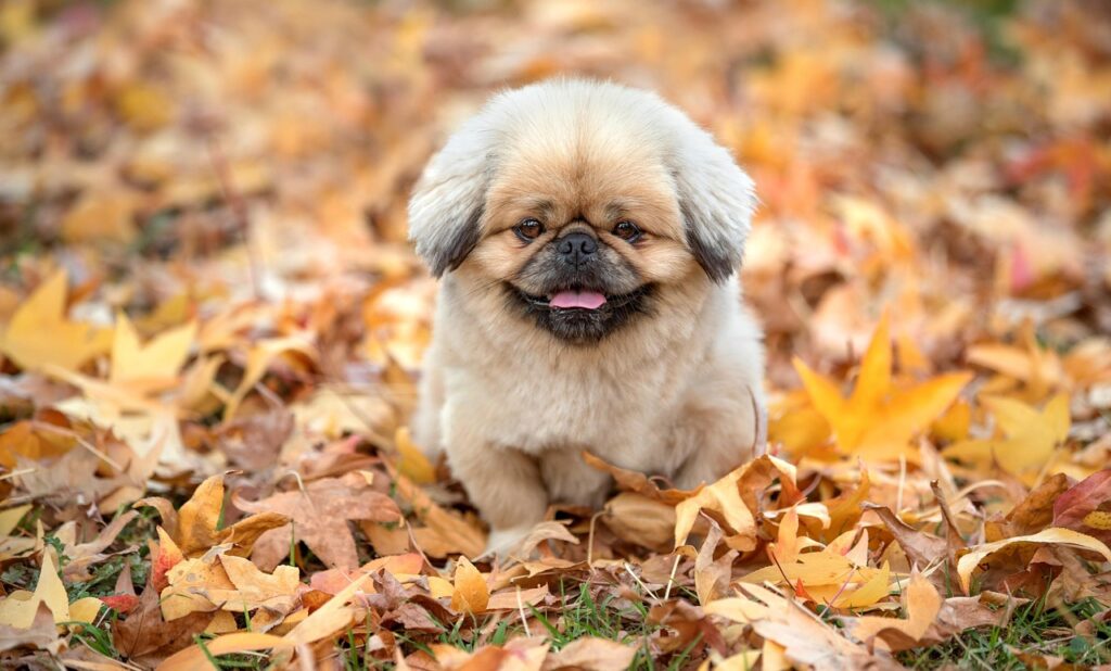 ドライアイの症状を改善するための対策は？