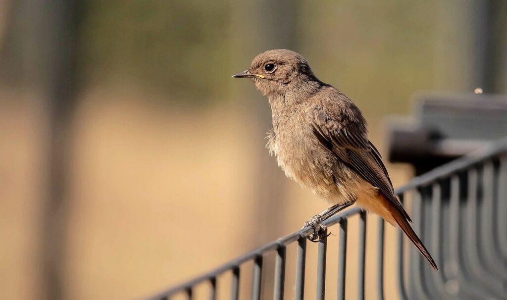 子どもが目休息をしながらできる運動は？