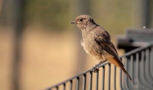 子どもが目休息をしながらできる運動は？