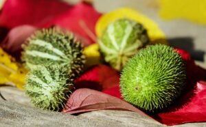 小児用の無添加目薬はどこで購入できる？