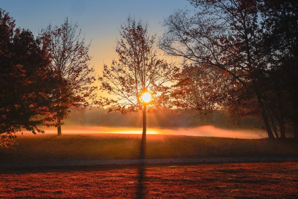 小学生の視力低下を予防するためにできることは？