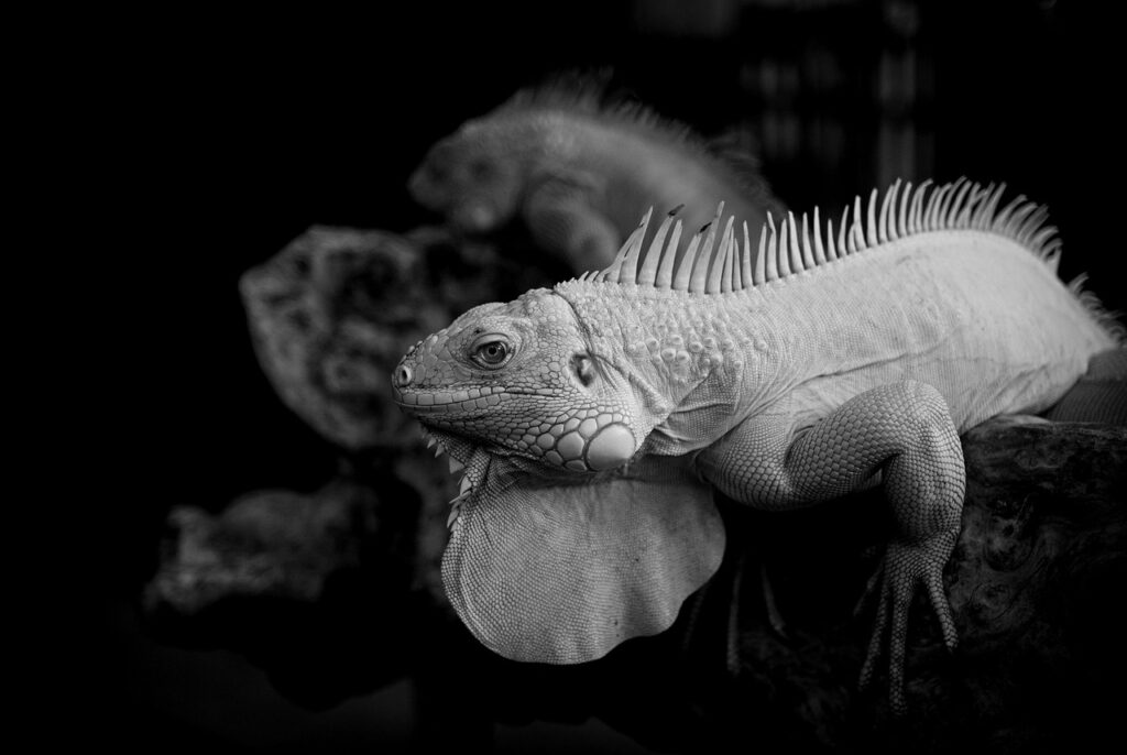 ルテインを含む食品は子どもにどのような効果があるの？