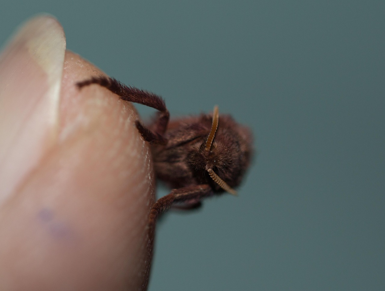 夜更かしが子どもの視力悪化に与える影響とは？