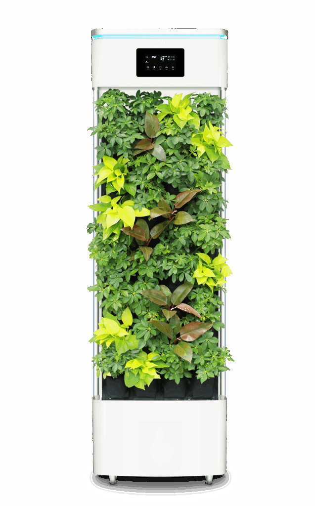 空気清浄機がもたらす目の健康への効果とは？