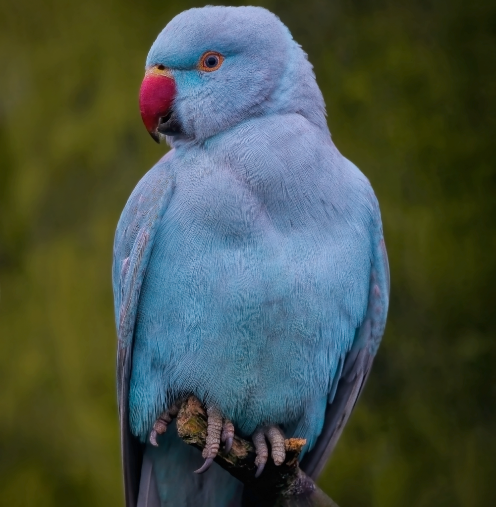 ストレートネックが子どもに増加している原因とは？