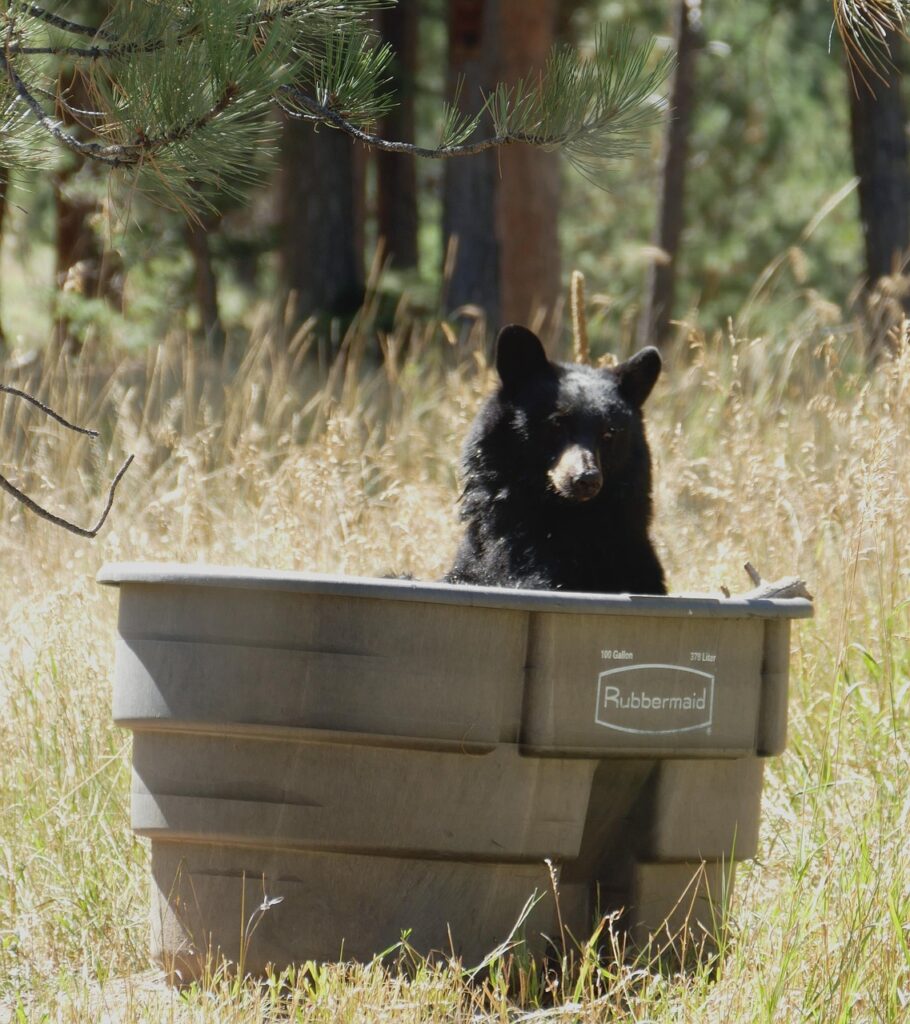 小学生がお風呂でできる目ケアの方法は？