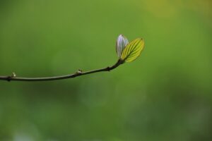 小学生の早寝が目の成長に与える影響とは？