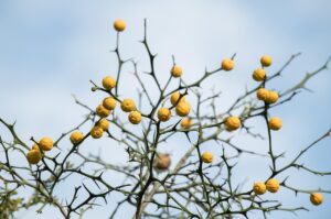 小学生の花粉症による目の乾燥はどう対処すればいい？