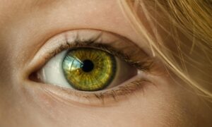 子どもが両目の視力差が大きいとき、どう対処すればいい？